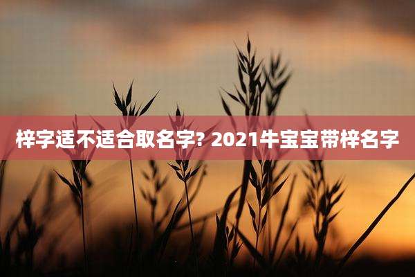 梓字适不适合取名字? 2021牛宝宝带梓名字