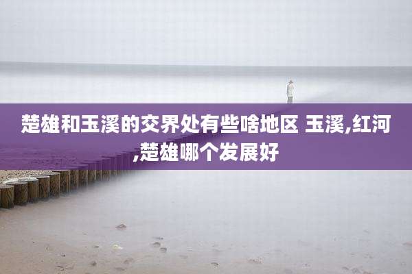 楚雄和玉溪的交界处有些啥地区 玉溪,红河,楚雄哪个发展好