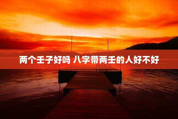 两个壬子好吗 八字带两壬的人好不好
