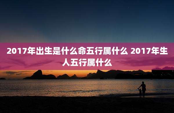 2017年出生是什么命五行属什么 2017年生人五行属什么