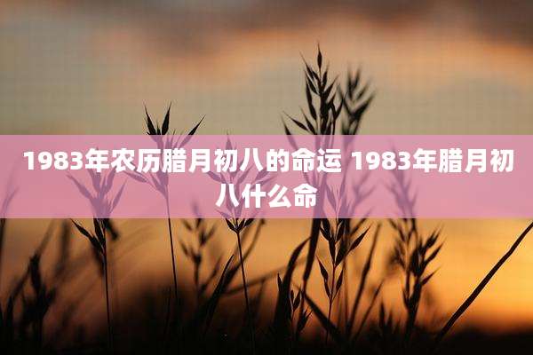 1983年农历腊月初八的命运 1983年腊月初八什么命