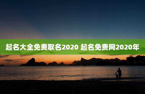起名大全免费取名2020 起名免费网2020年