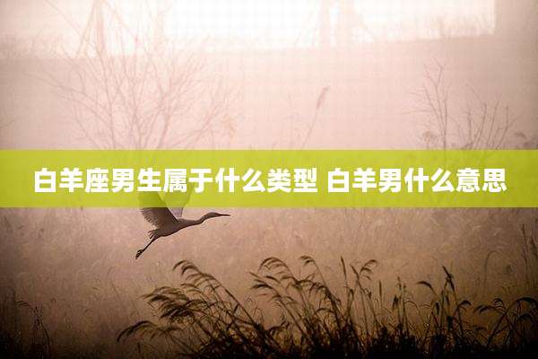 白羊座男生属于什么类型 白羊男什么意思