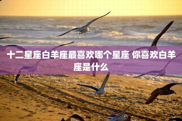 十二星座白羊座最喜欢哪个星座 你喜欢白羊座是什么