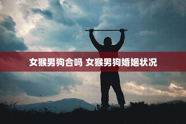 女猴男狗合吗 女猴男狗婚姻状况