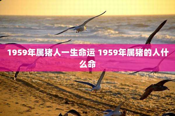 1959年属猪人一生命运 1959年属猪的人什么命
