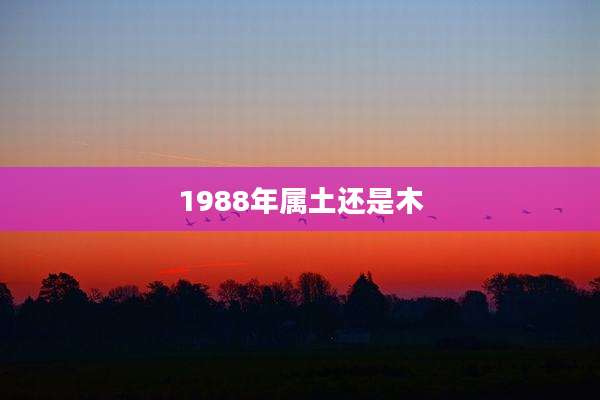 1988年属土还是木