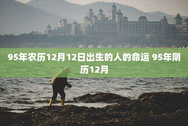 95年农历12月12日出生的人的命运 95年阴历12月