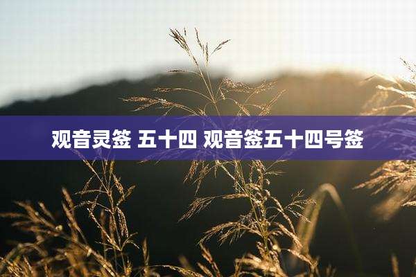 观音灵签 五十四 观音签五十四号签