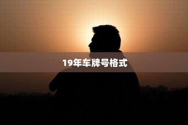 19年车牌号格式