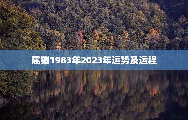 属猪1983年2023年运势及运程