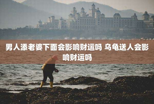男人添老婆下面会影响财运吗 乌龟送人会影响财运吗