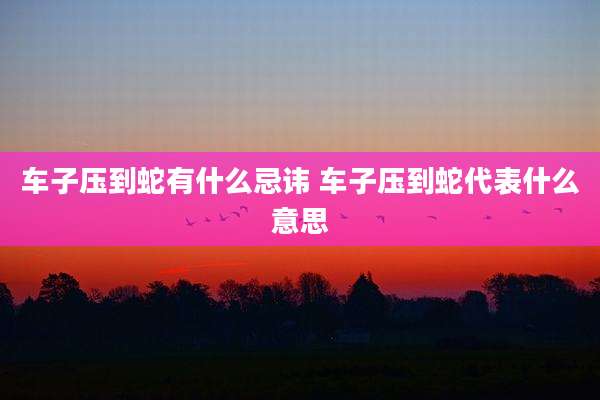 车子压到蛇有什么忌讳 车子压到蛇代表什么意思