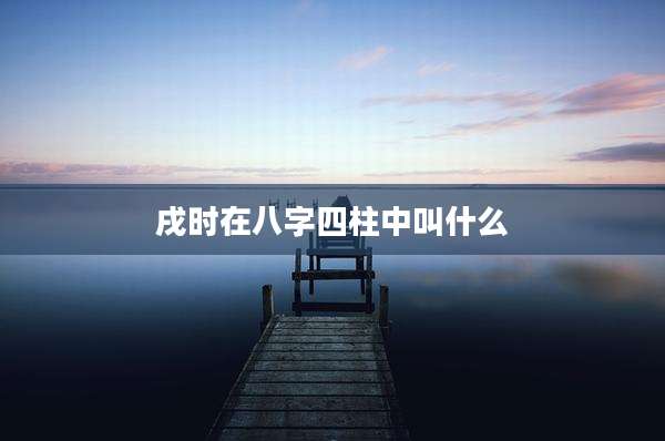 戌时在八字四柱中叫什么