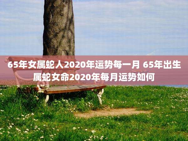 65年女属蛇人2020年运势每一月 65年出生属蛇女命2020年每月运势如何