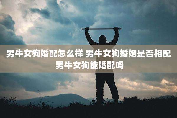 男牛女狗婚配怎么样 男牛女狗婚姻是否相配 男牛女狗能婚配吗