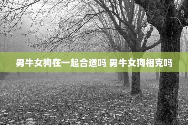 男牛女狗在一起合适吗 男牛女狗相克吗