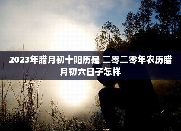 2023年腊月初十阳历是 二零二零年农历腊月初六日子怎样