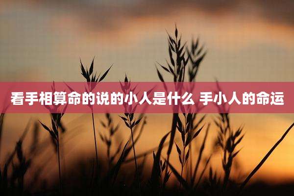 看手相算命的说的小人是什么 手小人的命运