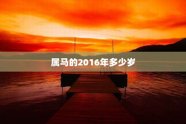 属马的2016年多少岁