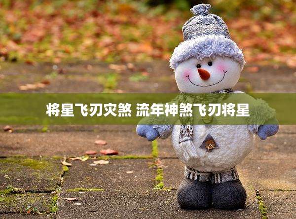 将星飞刃灾煞 流年神煞飞刃将星