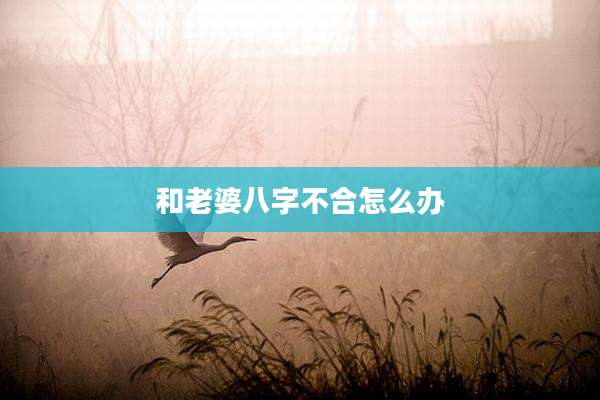 和老婆八字不合怎么办