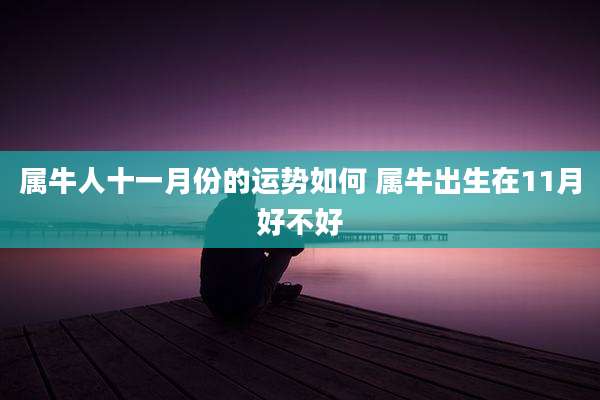 属牛人十一月份的运势如何 属牛出生在11月好不好