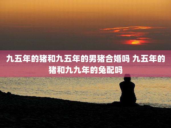 九五年的猪和九五年的男猪合婚吗 九五年的猪和九九年的兔配吗