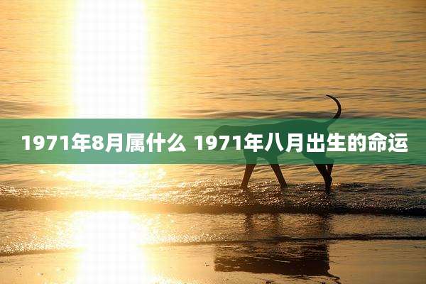 1971年8月属什么 1971年八月出生的命运