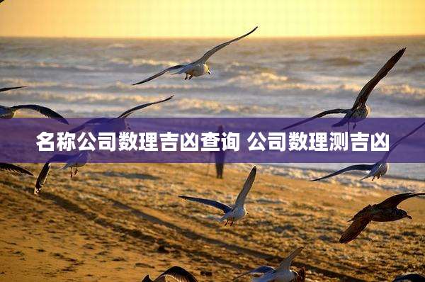 名称公司数理吉凶查询 公司数理测吉凶