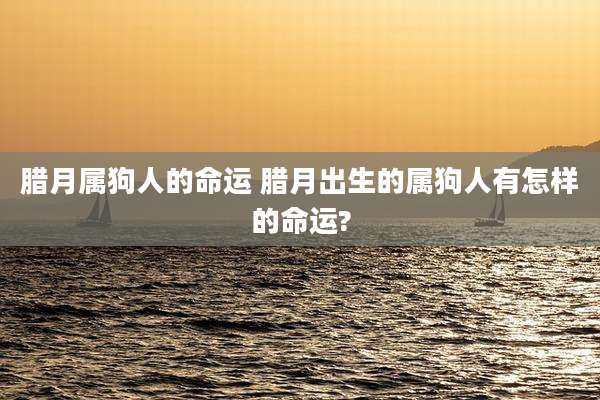 腊月属狗人的命运 腊月出生的属狗人有怎样的命运?