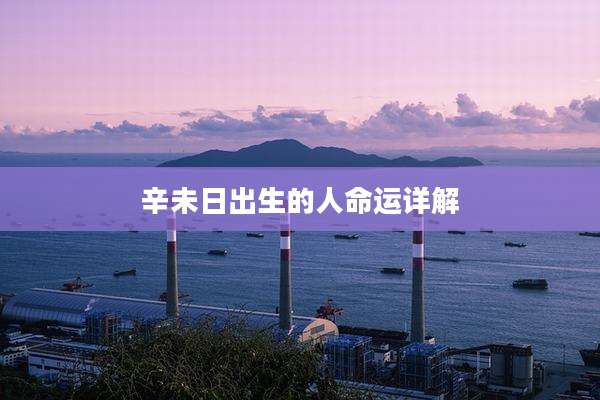 辛未日出生的人命运详解