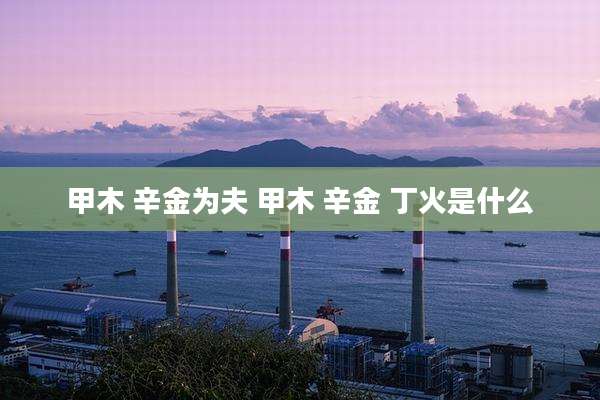 甲木 辛金为夫 甲木 辛金 丁火是什么
