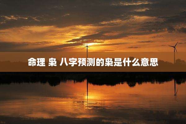 命理 枭 八字预测的枭是什么意思
