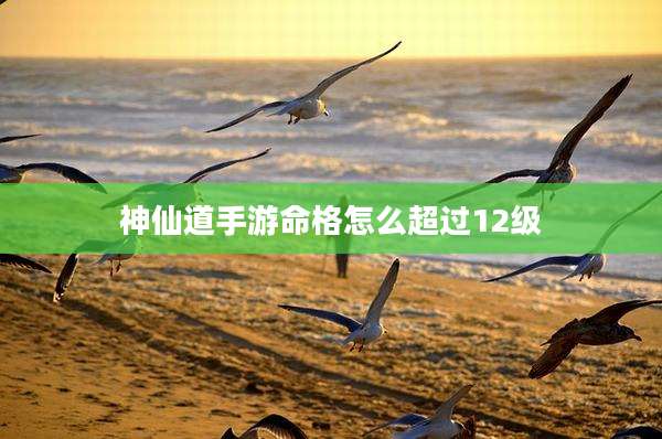 神仙道手游命格怎么超过12级