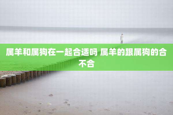 属羊和属狗在一起合适吗 属羊的跟属狗的合不合