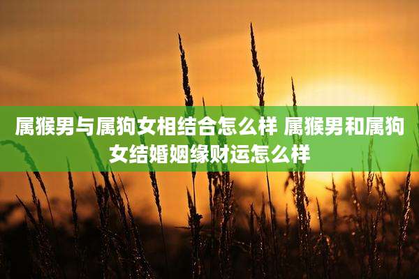 属猴男与属狗女相结合怎么样 属猴男和属狗女结婚姻缘财运怎么样