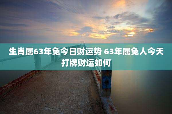 生肖属63年兔今日财运势 63年属兔人今天打牌财运如何