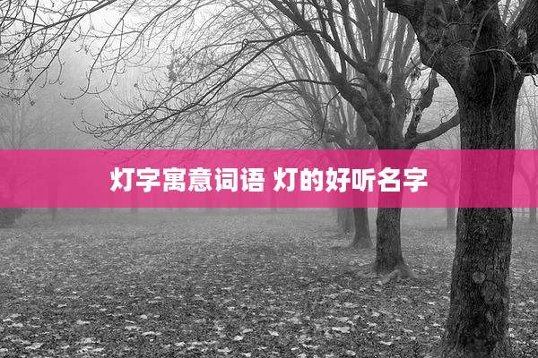 灯字寓意词语 灯的好听名字