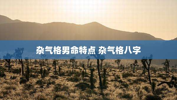 杂气格男命特点 杂气格八字