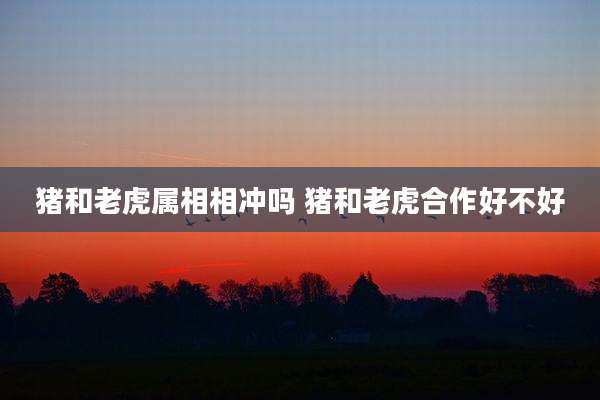 猪和老虎属相相冲吗 猪和老虎合作好不好