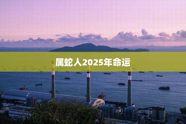 属蛇人2025年命运