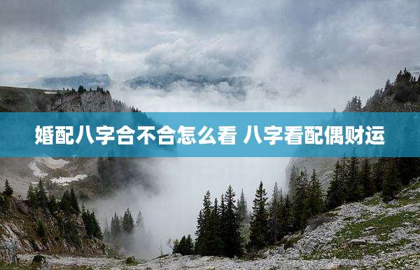 婚配八字合不合怎么看 八字看配偶财运