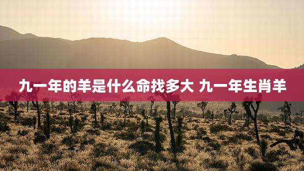 九一年的羊是什么命找多大 九一年生肖羊