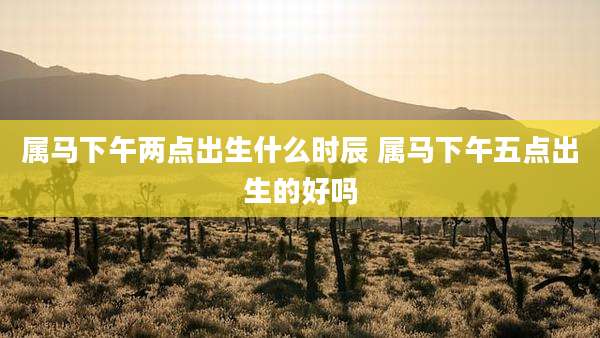 属马下午两点出生什么时辰 属马下午五点出生的好吗