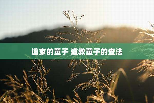 道家的童子 道教童子的查法