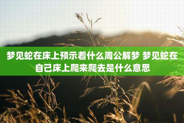 梦见蛇在床上预示着什么周公解梦 梦见蛇在自己床上爬来爬去是什么意思