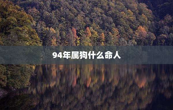 94年属狗什么命人