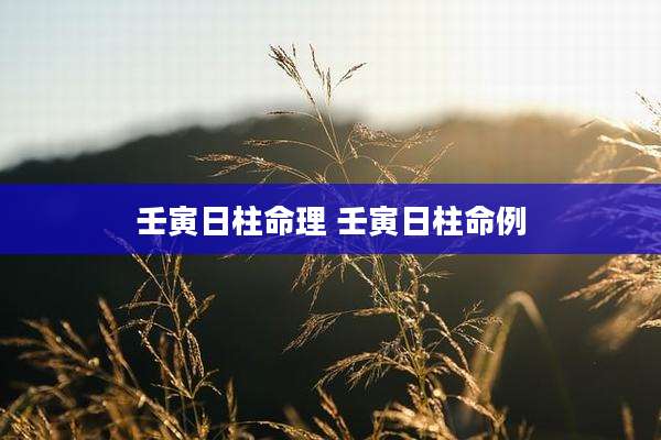 壬寅日柱命理 壬寅日柱命例