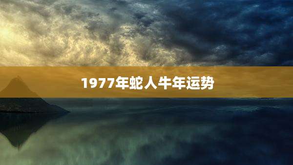 1977年蛇人牛年运势